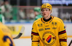 Noel Gunler valde Djurgården före Luleå.
Foto: Bildbyrån