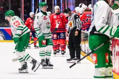 Rögle blev nollade igen i CHL.  
Foto: Mathilda Schuler / BILDBYRÃN / kod MA / MA1033