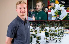 Axel Ottosson, Lucas Wallmark och Marcus Björk ingår i Björklövens unika kaptensgrupp. 