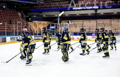 HV71 får förstärkning av Riley Walsh nästa säsong.