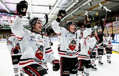 Nybro Vikings får spela i HockeyAllsvenskan även nästa år. 