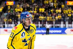 Lucas Wallmark är en av Björklövens stora stjärnor kommande säsong.