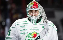 Arvid Holm förlänger med Rögle.
Foto: Bildbyrån.
