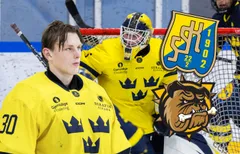 Vilmer Salén Forsberg byter Södertälje mot Brantford.