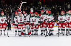 Inga nyförvärv är aktuellt för MoDo och Henrik Gradin.
