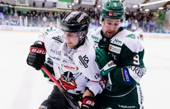 Jake Stella finns på marknaden.