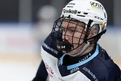 Steven Ellis förutspår att Marcus Nordmark kommer att väljas utanför första rundan i NHL-draften.
Foto: Nicklas Elmrin /BILDBYRÅN