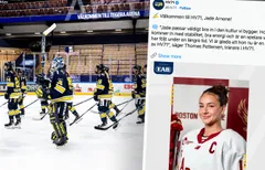 Jade Arnone flyttar till Sverige och HV71. Foto: X (HV71) och Bildbyrån.