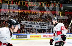 Luleå ska arbeta för att avsluta SHL:s avtal med Red Bull,
Foto:BIldbyrån