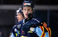 Arvid Bergström flyttar tillbaka till Sverige. 