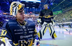 Herman Liv storspelade direkt i debuten för HV71. 