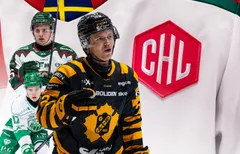 Hade ett U23-CHL fungerat?