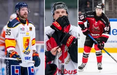 Anton Blomberg, Erik Palm och Lucas Torstensson tillhör ligans främsta offensiva backar.