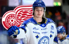 Anton Johansson kommer att göra debut i Detroit Red Wings under natten.