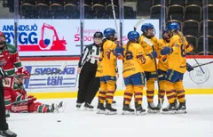 Djurgården tog stark seger i Ö-vik.
Foto: Jonas Forsberg / BILDBYRÃN / COP 71 / JR0128
