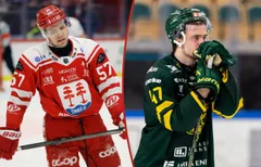 Blir det Timrå, Björklöven eller något helt annat lag som åker ur SHL?
Foto: Bildbyrån.