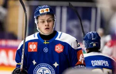 Wille Bärehag följer med Visby/Roma upp i Allsvenskan.