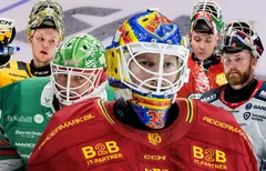 Hockeysverige.se har röstat fram SHL:s bästa målvakter.