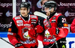 Pathrik och Ponthus Westerholm ser ut att fortsätta utomlands.