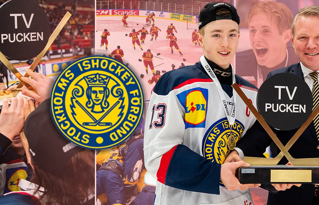 TV-pucken 2024: Stockholm Syd – kommentarer om ALLA spelare