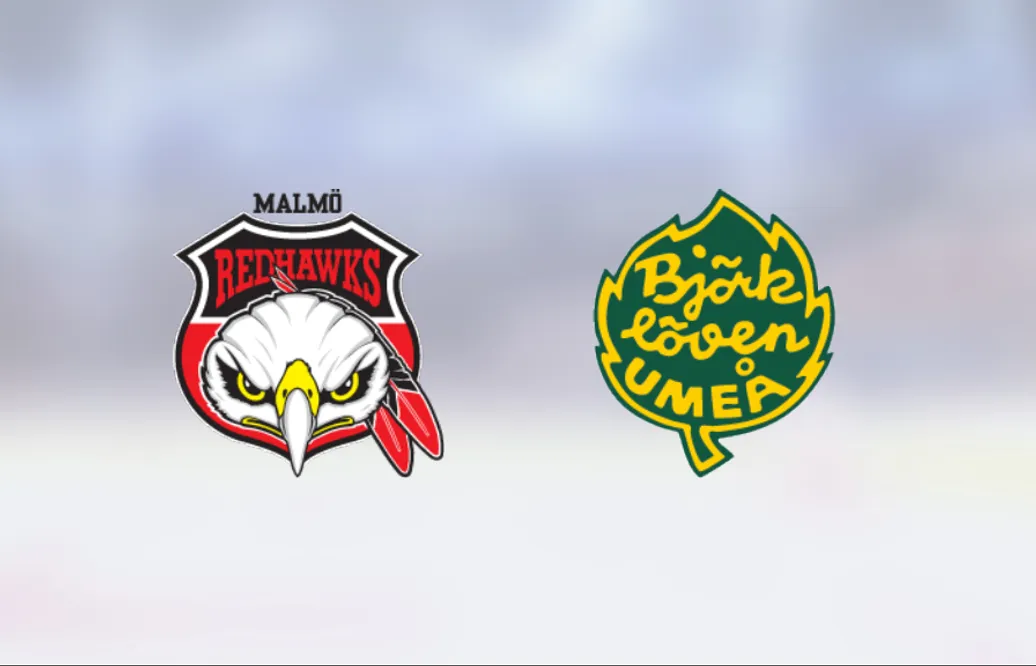 Björklöven säkrade avancemanget efter seger