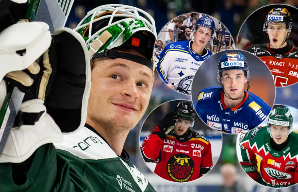 Robin Olausson: 15 bästa värvningarna från HockeyAllsvenskan till SHL