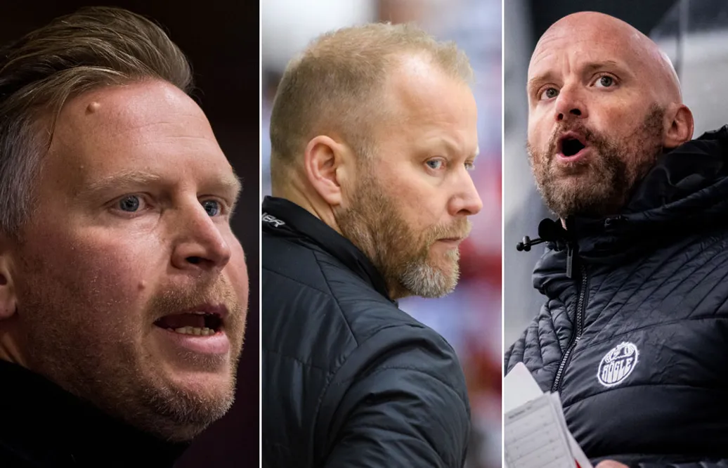 HOCKEY(H)ETTAN-PANELEN: ”Jag kommer öppna dörren och de som inte köper det de får gå”