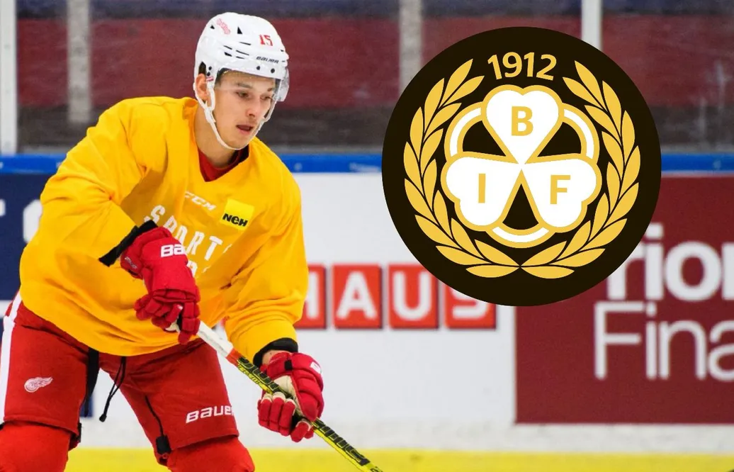 Dmytro Timashov klar för Brynäs