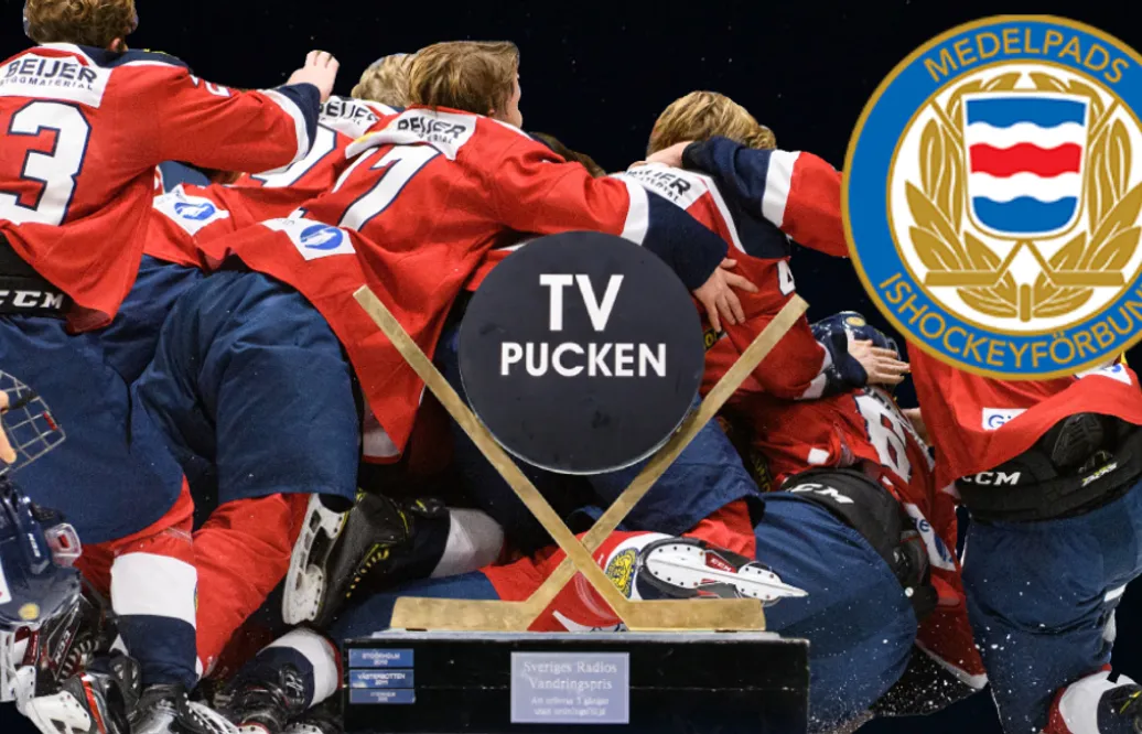 Inför TV-pucken 2021: Medelpad – kommentarer om alla spelare
