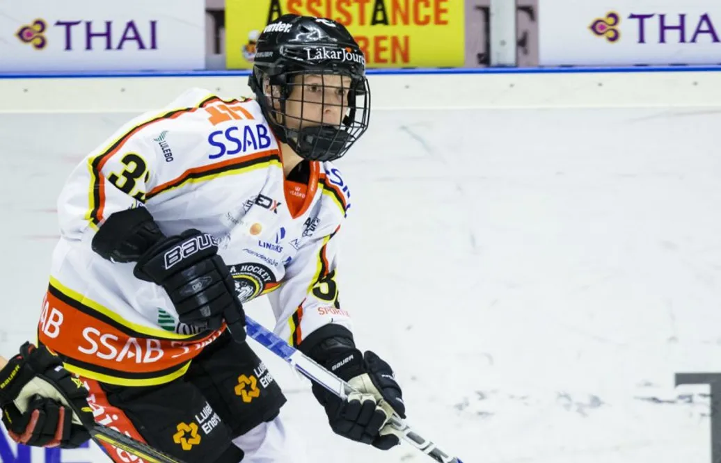 De vann seriefinalen – nära serieledningen