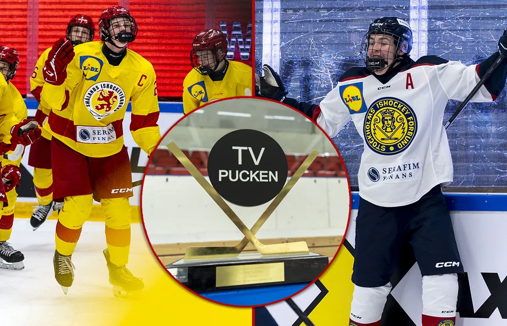 Så gick det i kvalspelet av TV-pucken – de går vidare till slutspel