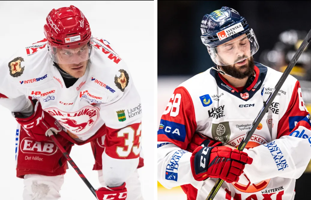 Joakim Hagelin och Daniel Karlsson stängs av