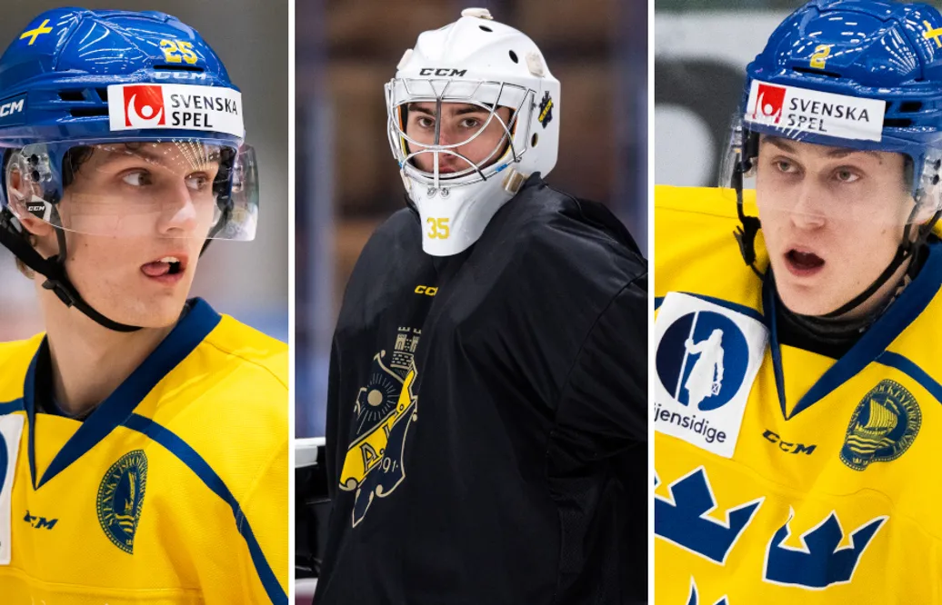 14 svenskar valda i USHL-draften