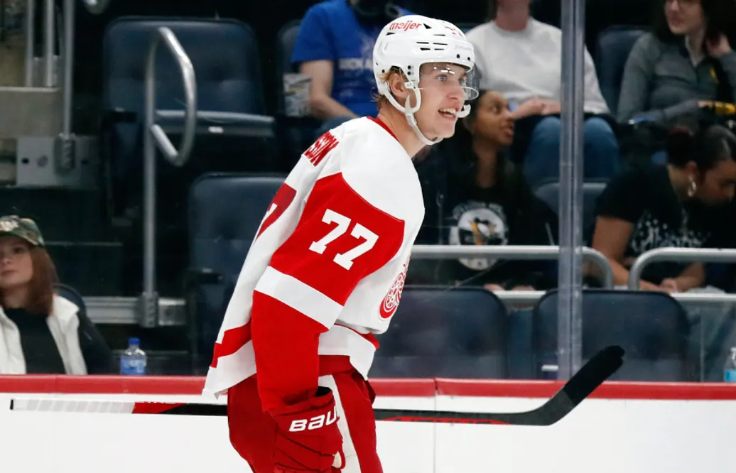 Simon Edvinsson kallas upp till Detroit Red Wings