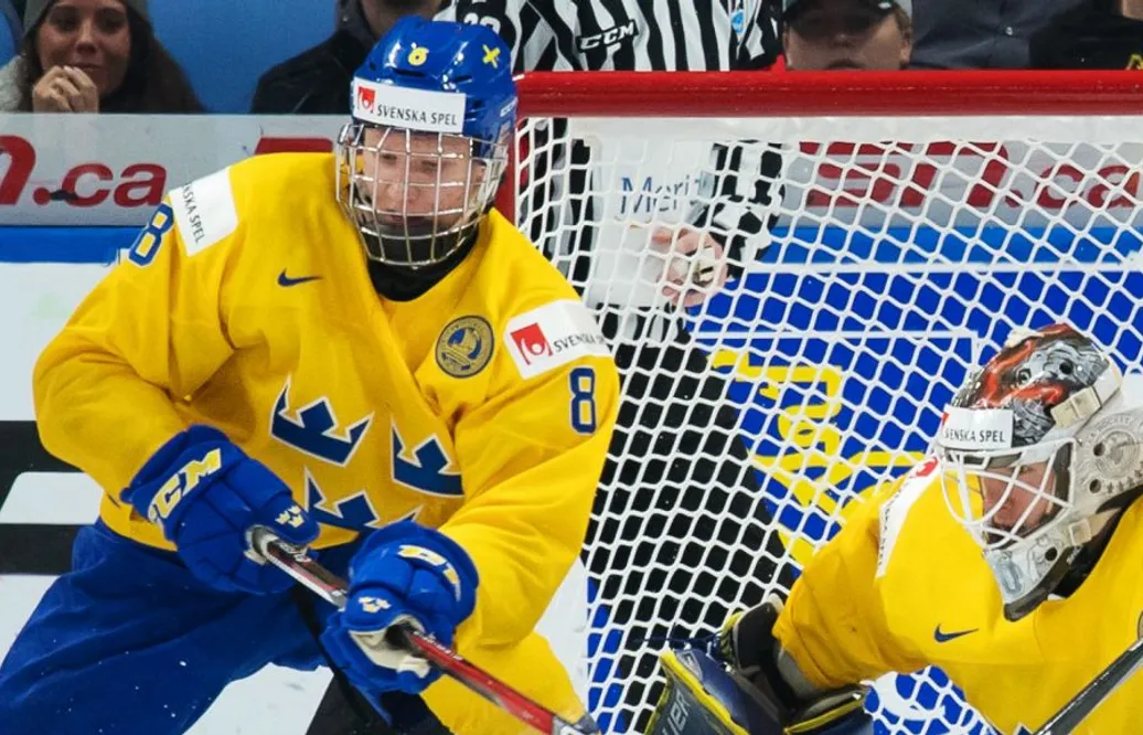 UPPGIFTER: Städerna som kan få arrangera JVM