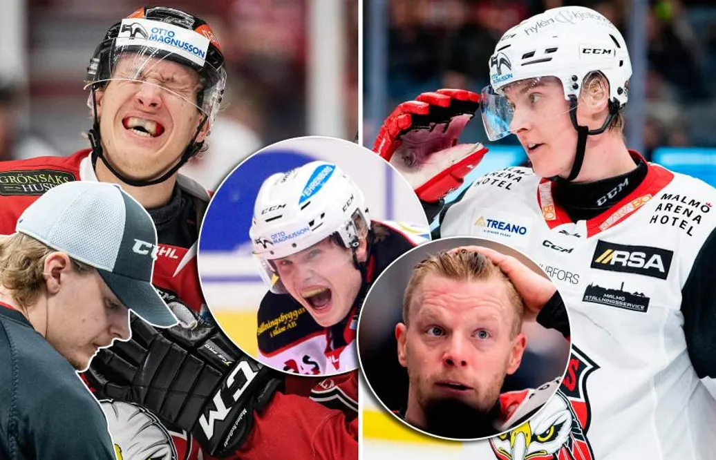 SHL:s största fysmonster: IF Malmö Redhawks