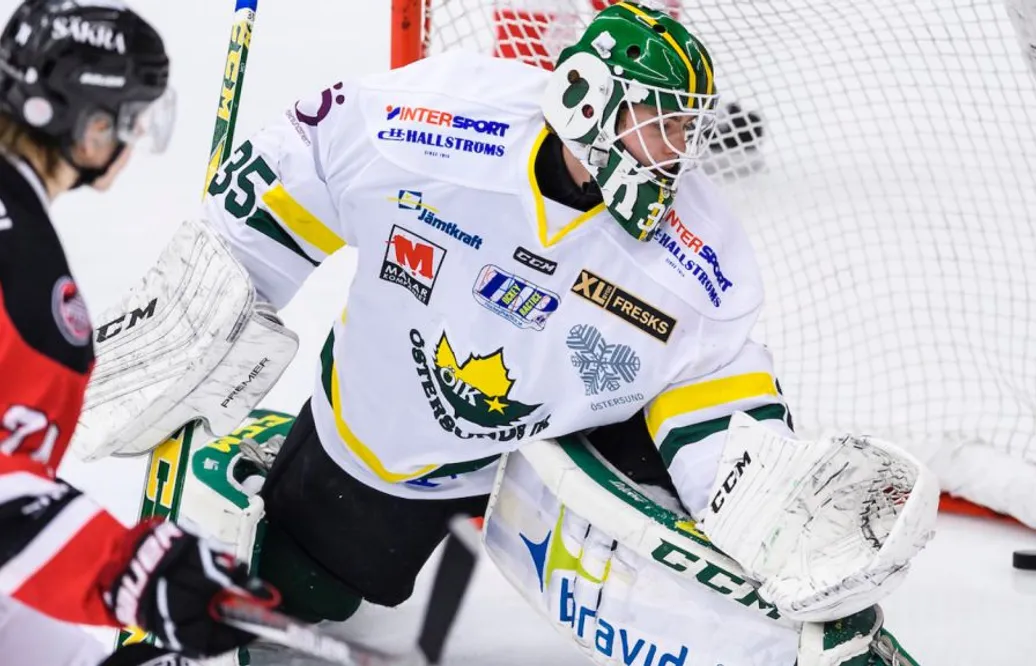 Tingsryd fortsätter värva från Hockeyettan