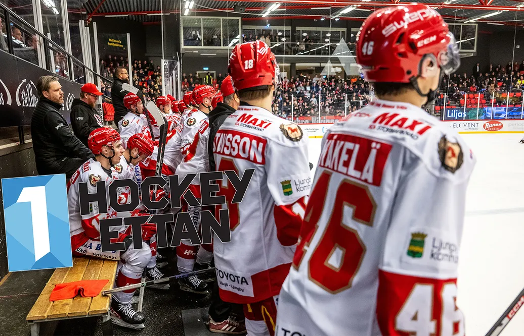 Förslaget: Fem grundserier i HockeyEttan