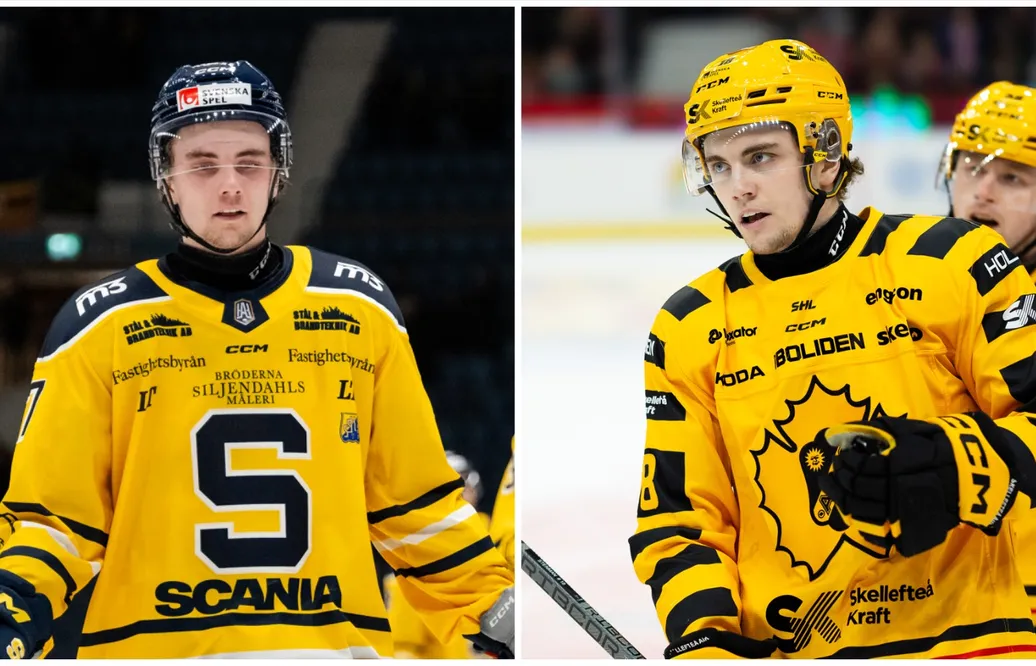 Elias Stenman återvänder till Skellefteå