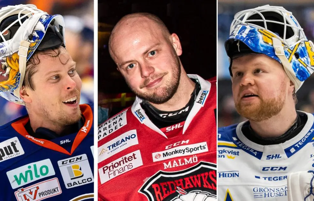 De gör upp om titeln Årets målvakt i SHL