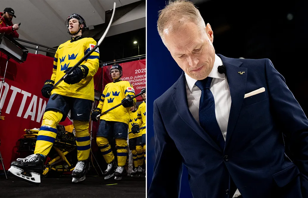 ELD: Där har Sverige en del att jobba på inför JVM