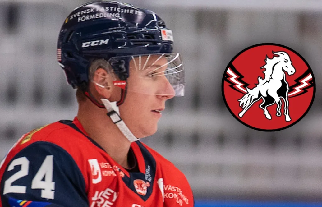 Vita Hästen värvar Josh Wilkins – från Västervik
