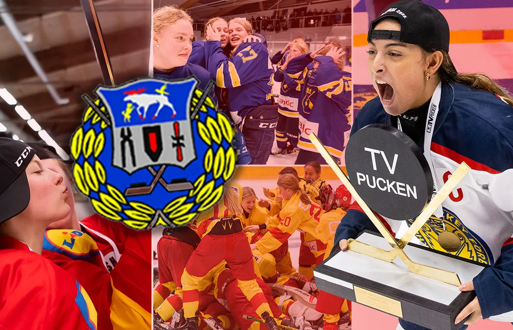 Jämtland/Härjedalen – TV-pucken 2023: Kommentarer om ALLA spelare