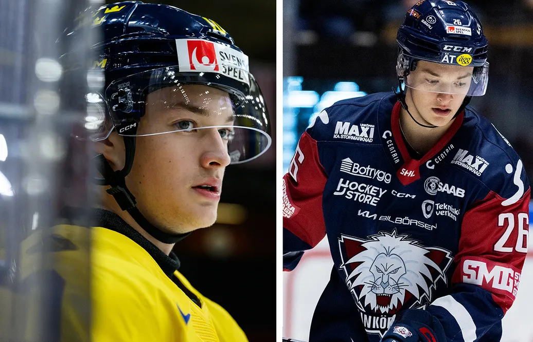 Linköping lånar ut Fabian Wagner
