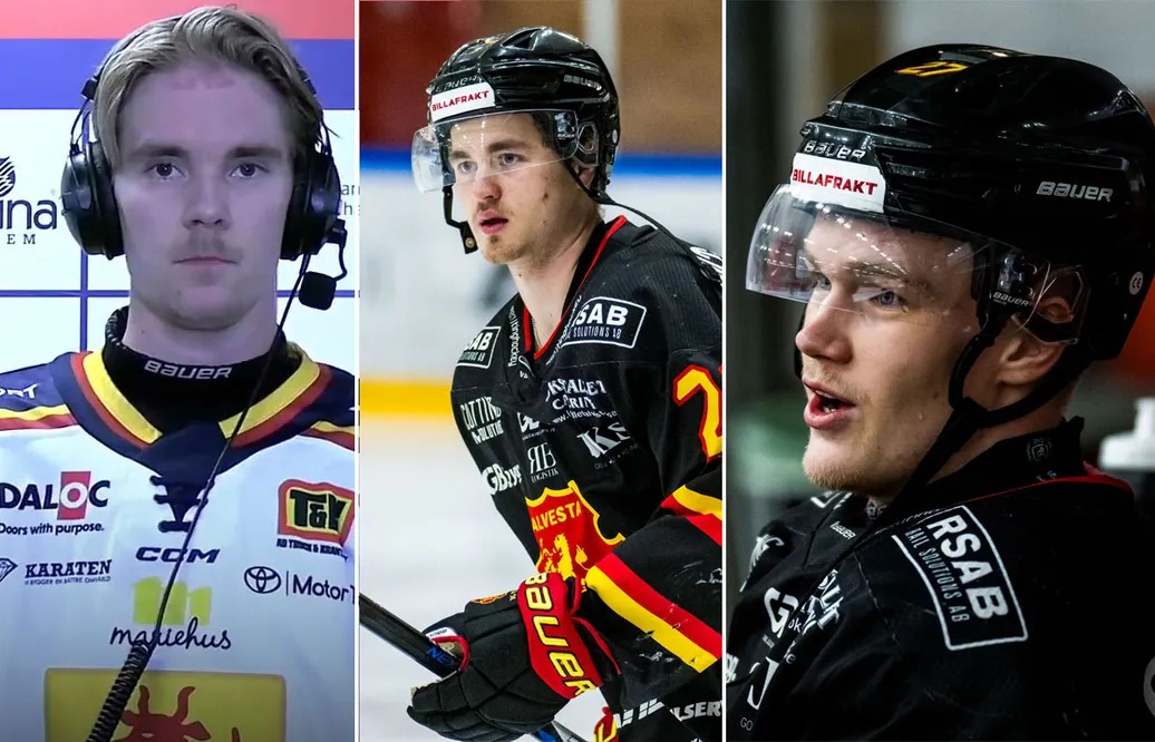 Tio värvningar i HockeyEttan – som gått under radarn