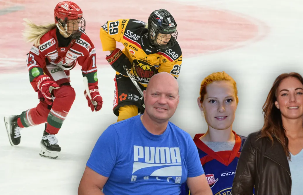 Hockeypanelen om första halvan av SDHL-säsongen