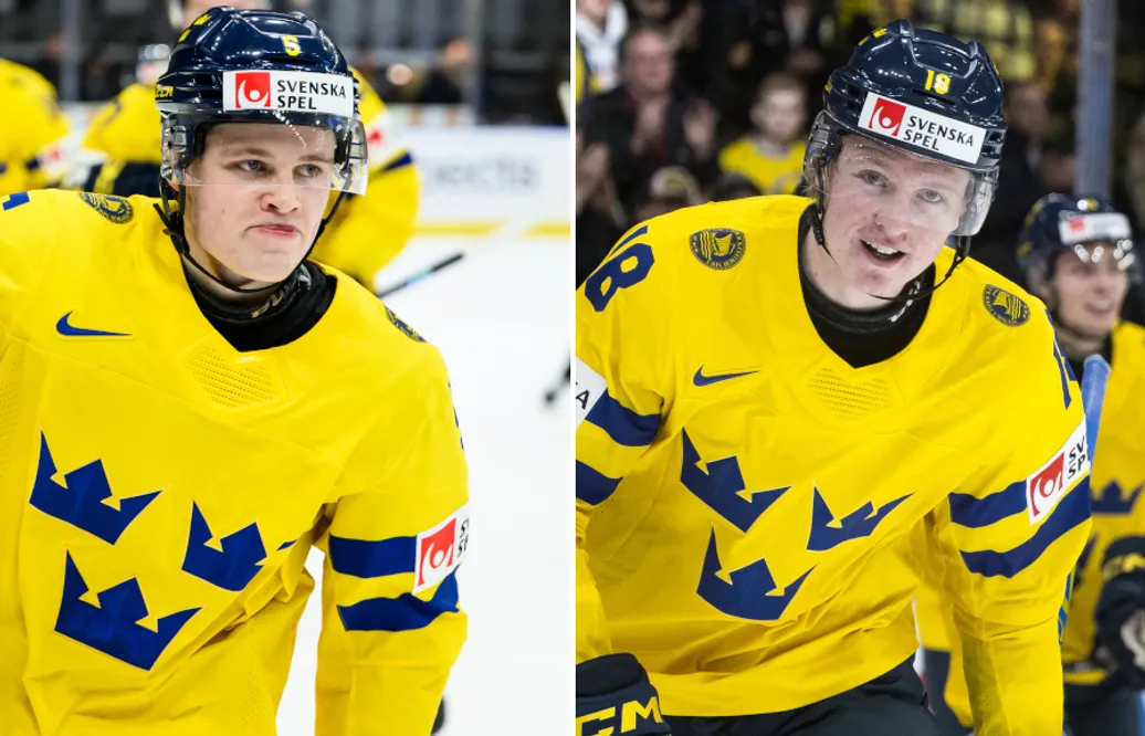 San Jose Sharks vill plocka över Mattias Hävelid och Filip Bystedt till nästa säsong