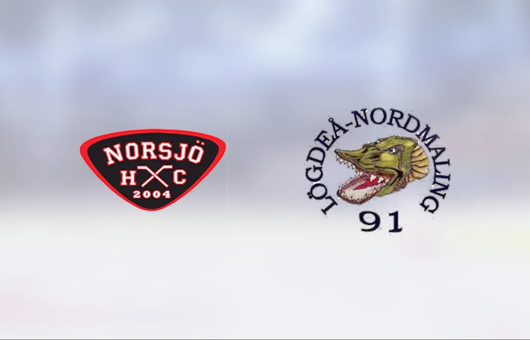 Joakim Valjemot i form när LN 91 vann mot Norsjö