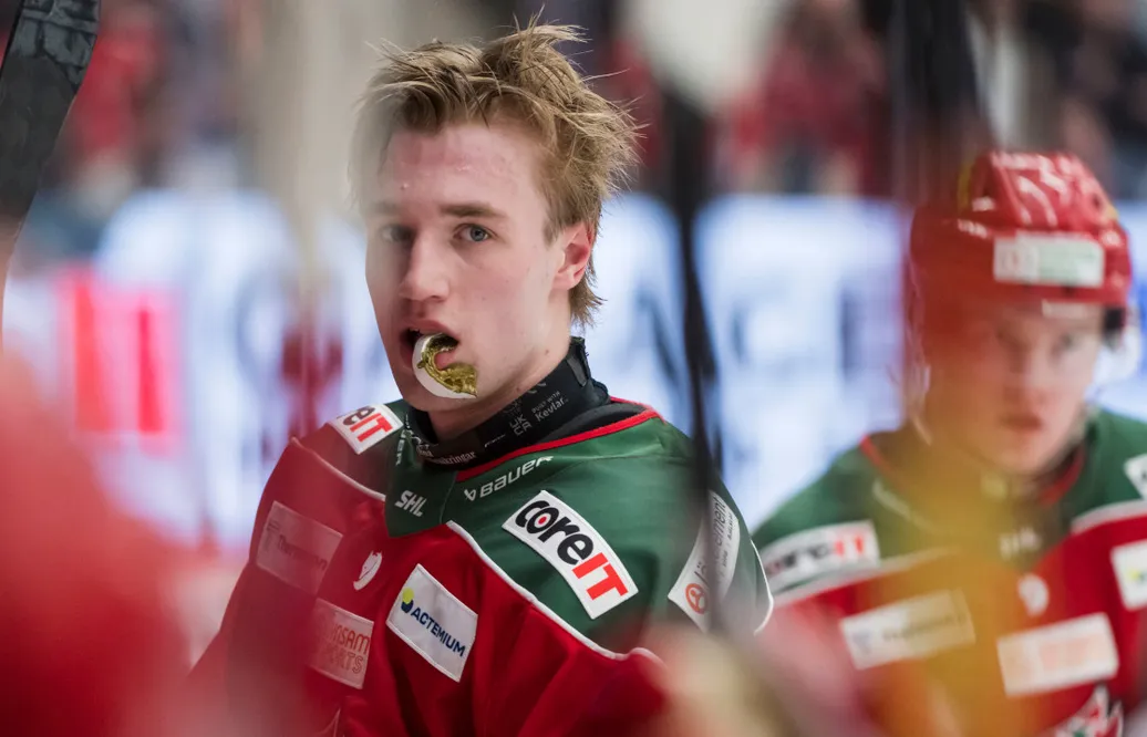 Stortalangen har presenterat sig i Brynäs