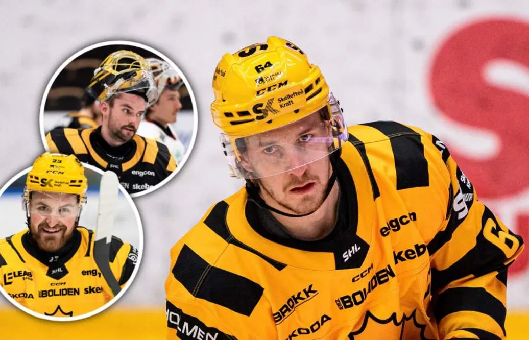Skellefteås tre stjärnspelare åter i full träning